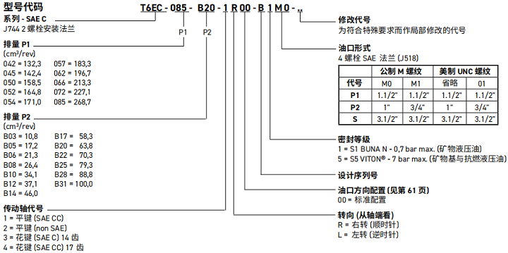 T6EC丹尼遜葉片泵工作參數(shù)